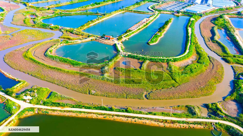 Shrimp And Crab Farming Base