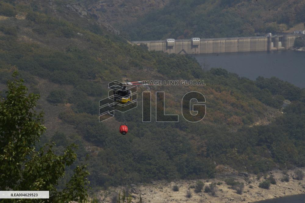 Galicia Fires Devastate Over 4,000 Hectares, Exceeding 2024 Total - Spain