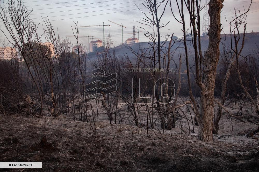 Firefighters Battle 'Fire Whirls' in Northern Spain
