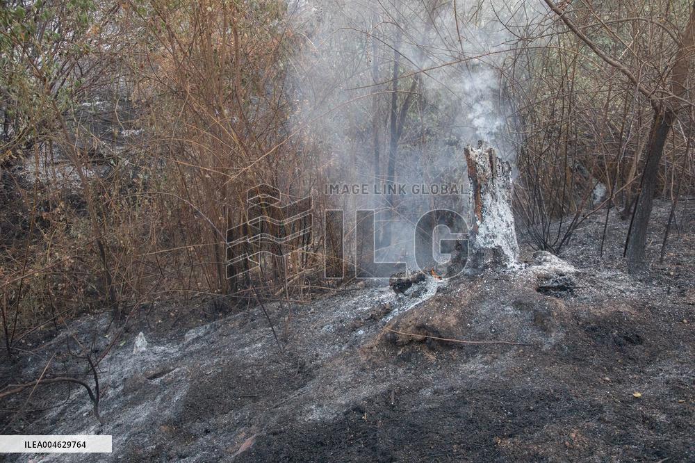 Firefighters Battle 'Fire Whirls' in Northern Spain