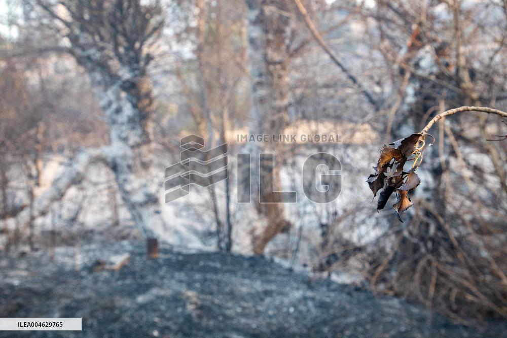 Firefighters Battle 'Fire Whirls' in Northern Spain
