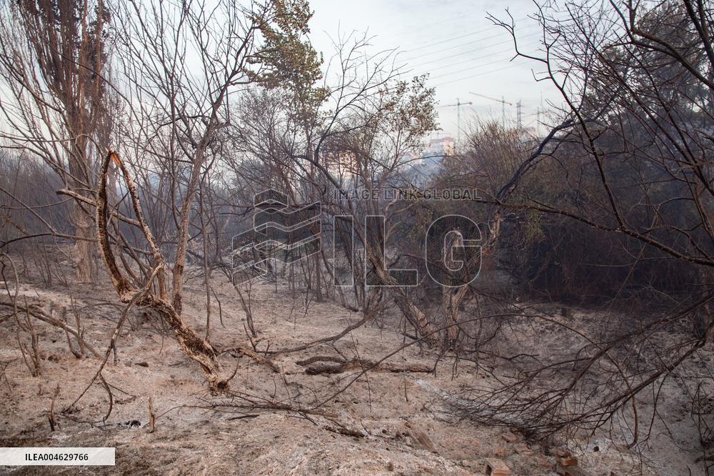 Firefighters Battle 'Fire Whirls' in Northern Spain