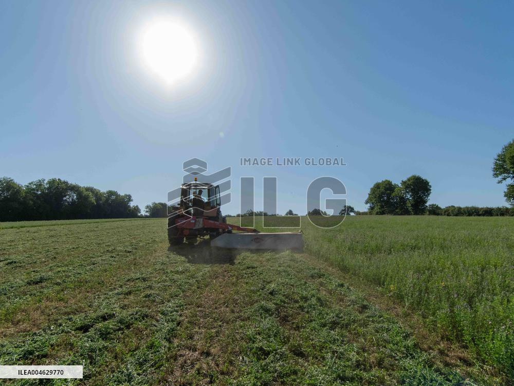 Farming in Aveyron During The Heatwave - France