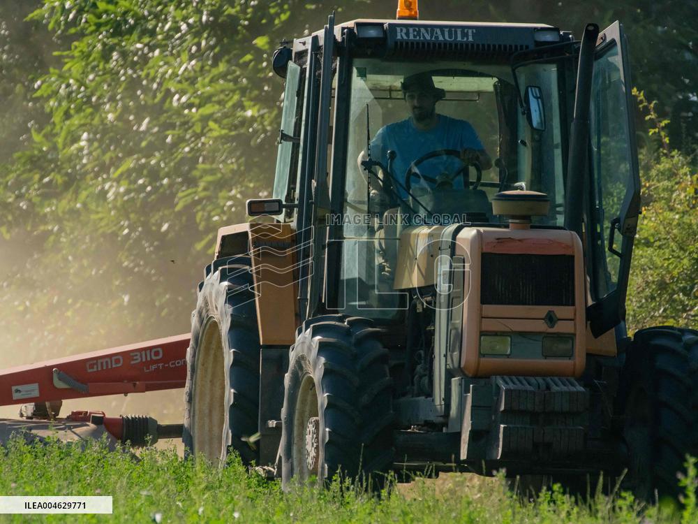 Farming in Aveyron During The Heatwave - France