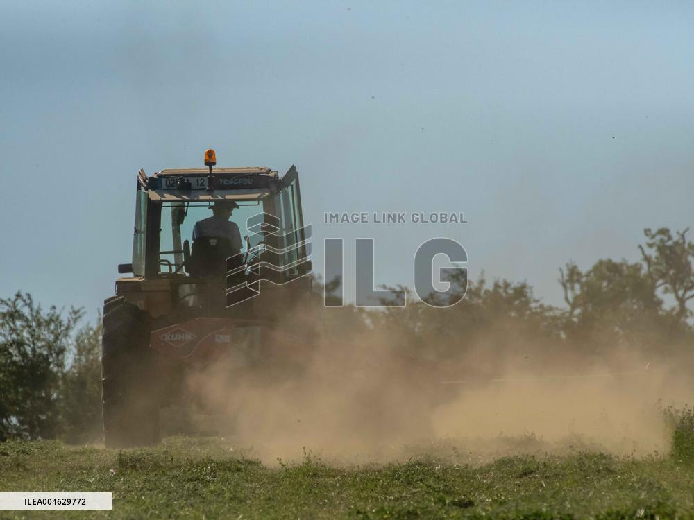 Farming in Aveyron During The Heatwave - France