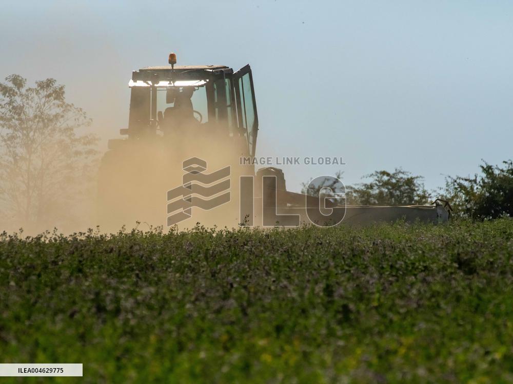 Farming in Aveyron During The Heatwave - France
