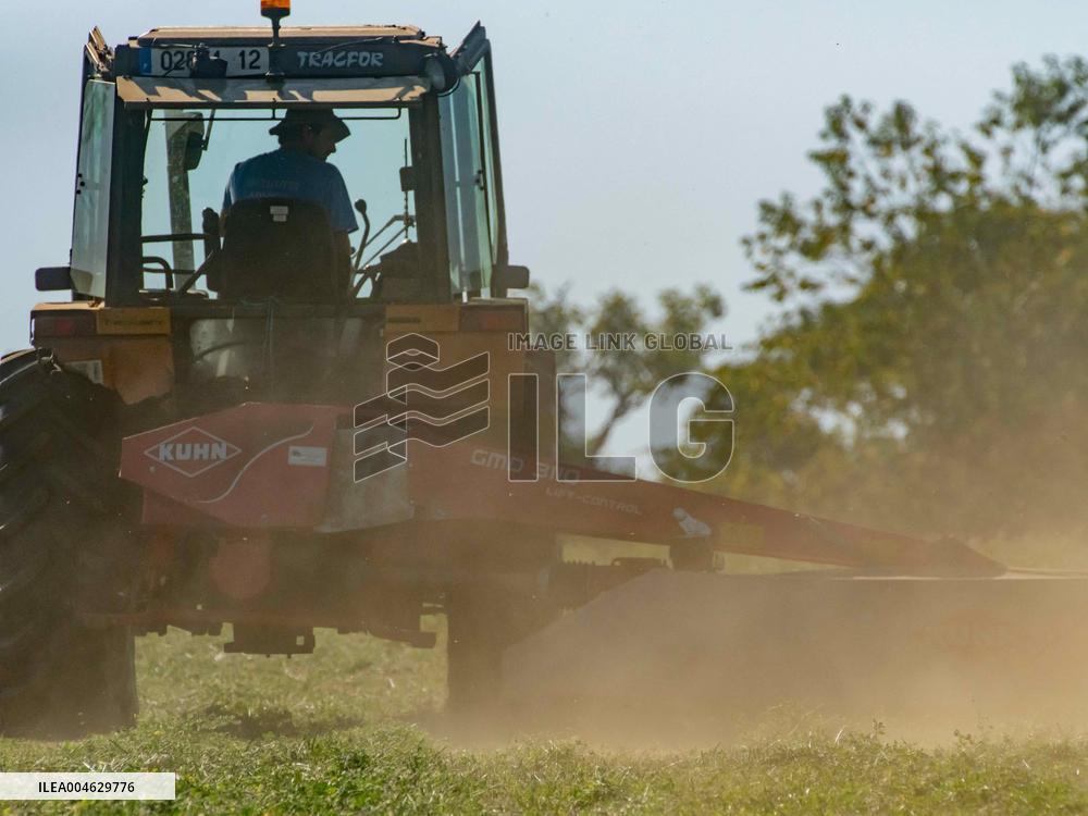 Farming in Aveyron During The Heatwave - France