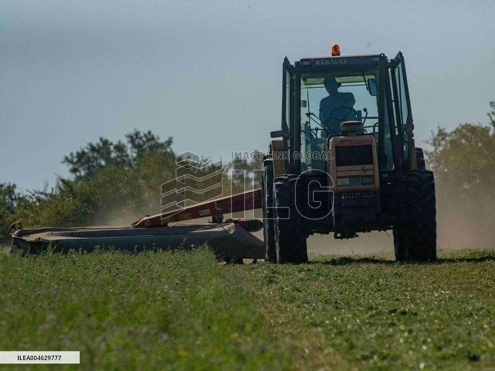 Farming in Aveyron During The Heatwave - France