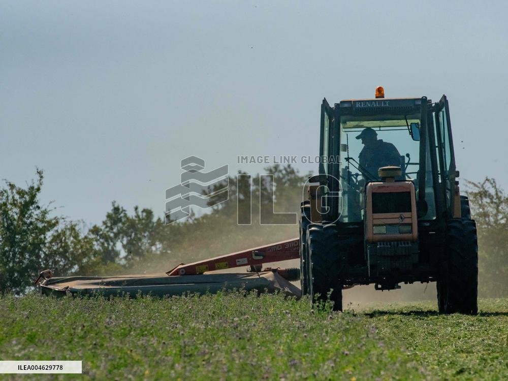 Farming in Aveyron During The Heatwave - France