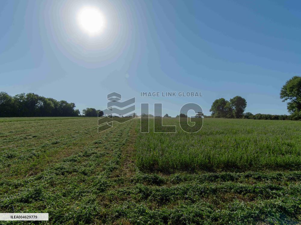 Farming in Aveyron During The Heatwave - France