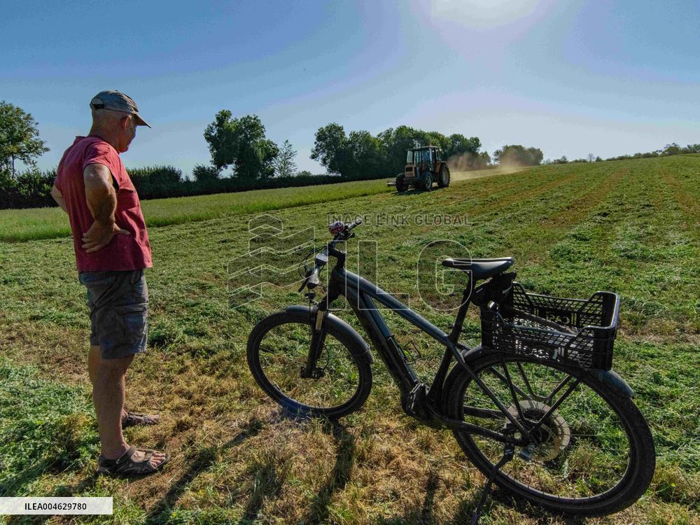 Farming in Aveyron During The Heatwave - France