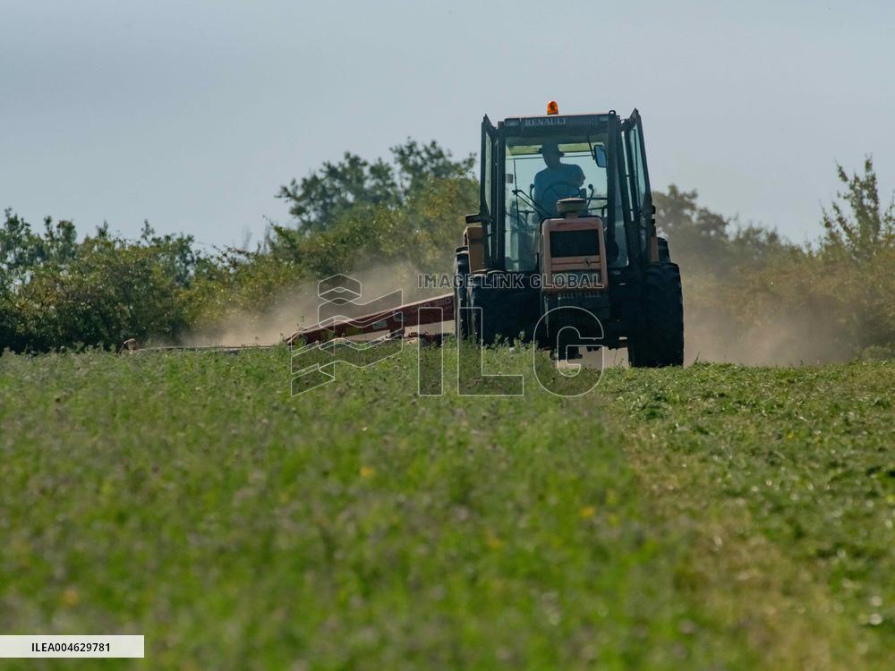 Farming in Aveyron During The Heatwave - France