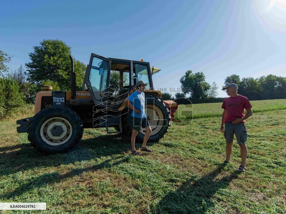 Farming in Aveyron During The Heatwave - France