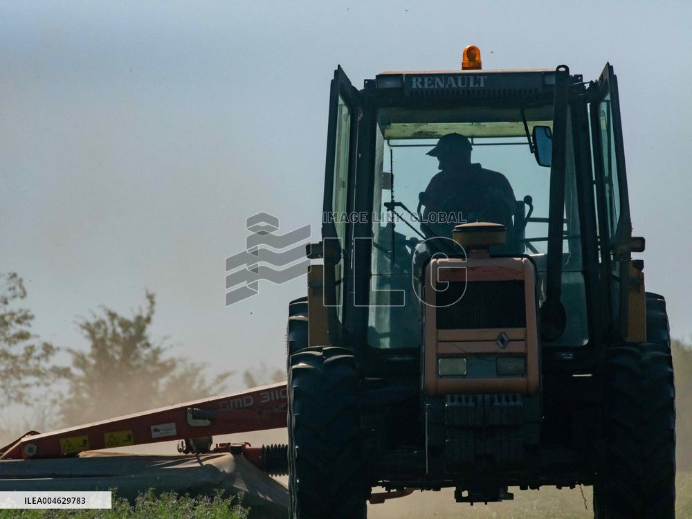 Farming in Aveyron During The Heatwave - France