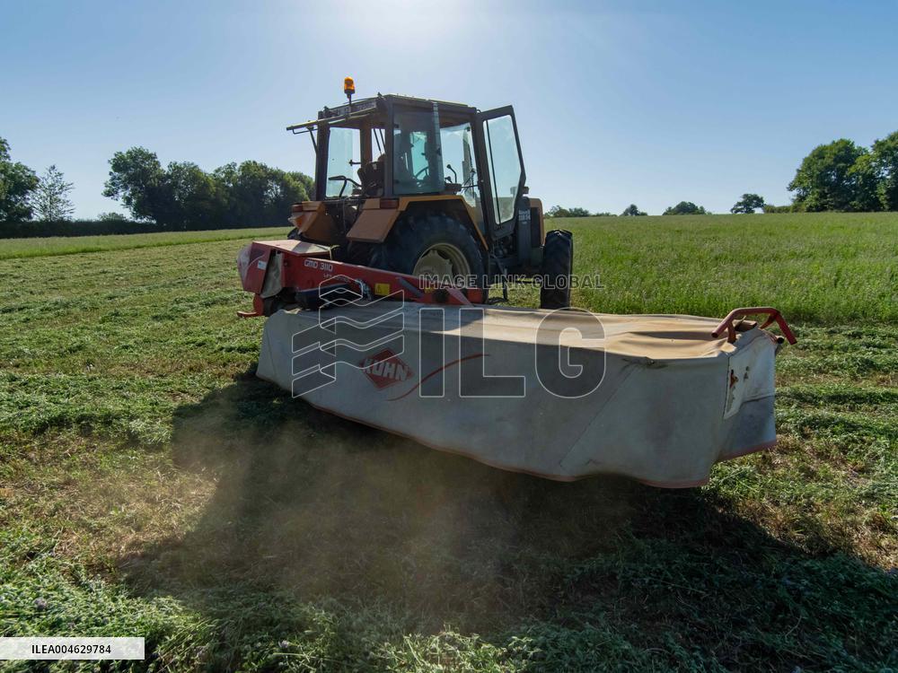 Farming in Aveyron During The Heatwave - France
