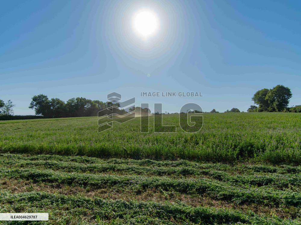Farming in Aveyron During The Heatwave - France
