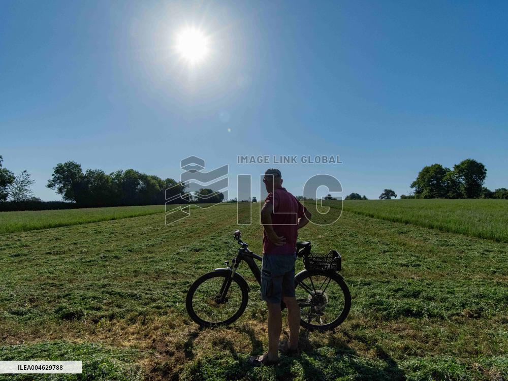 Farming in Aveyron During The Heatwave - France