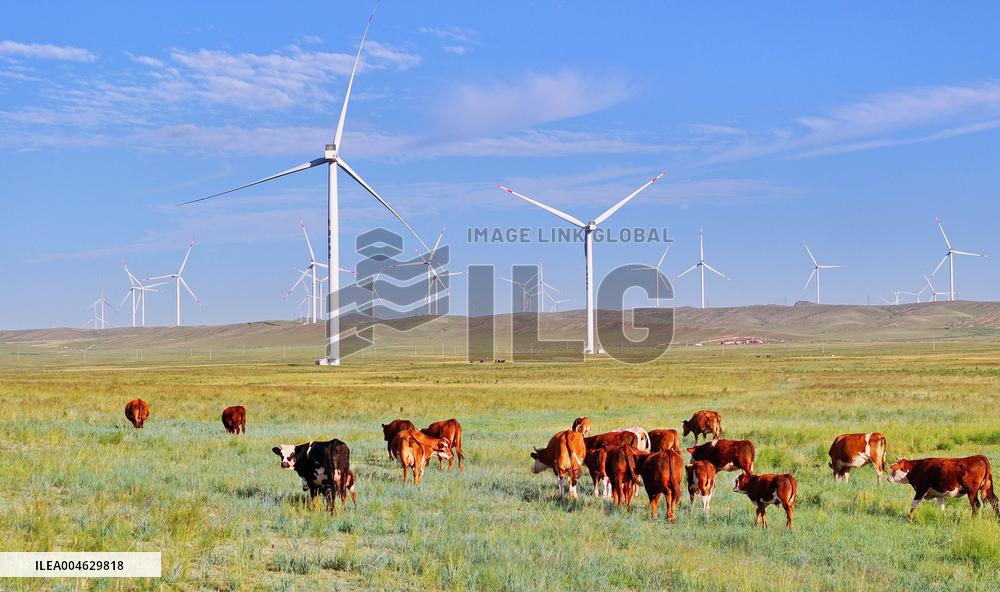 State Power Investment Corporation Ulanqab Wind Power Base
