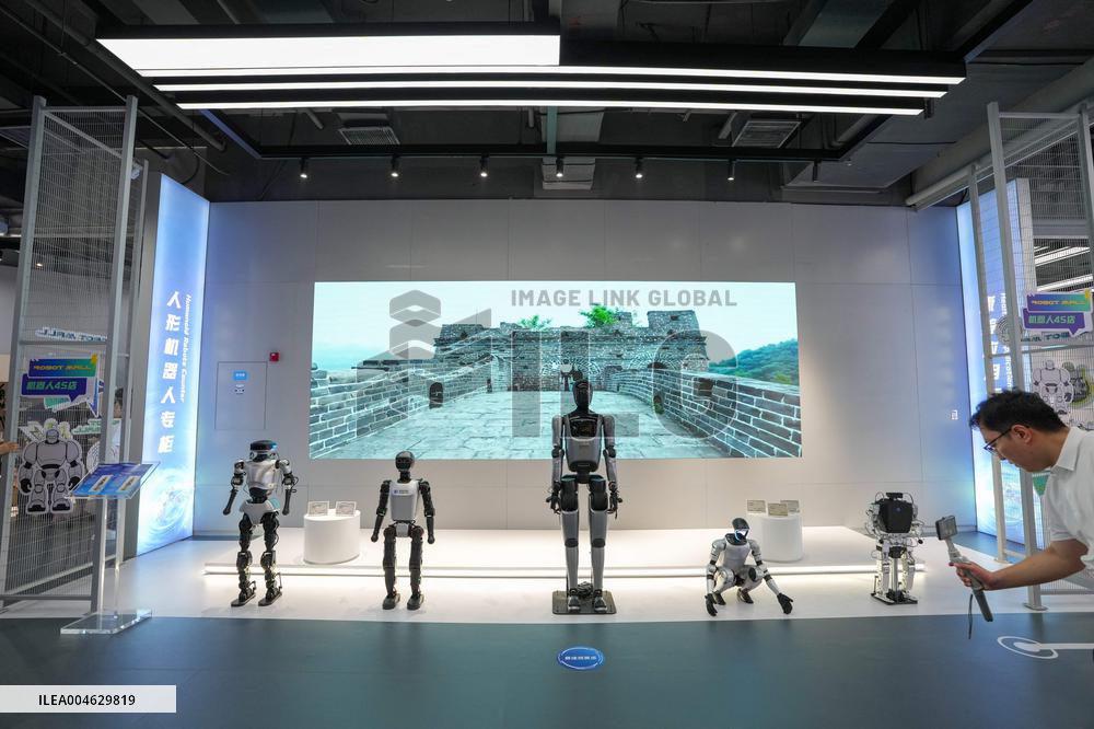 2025 World Robot Conference - Beijing