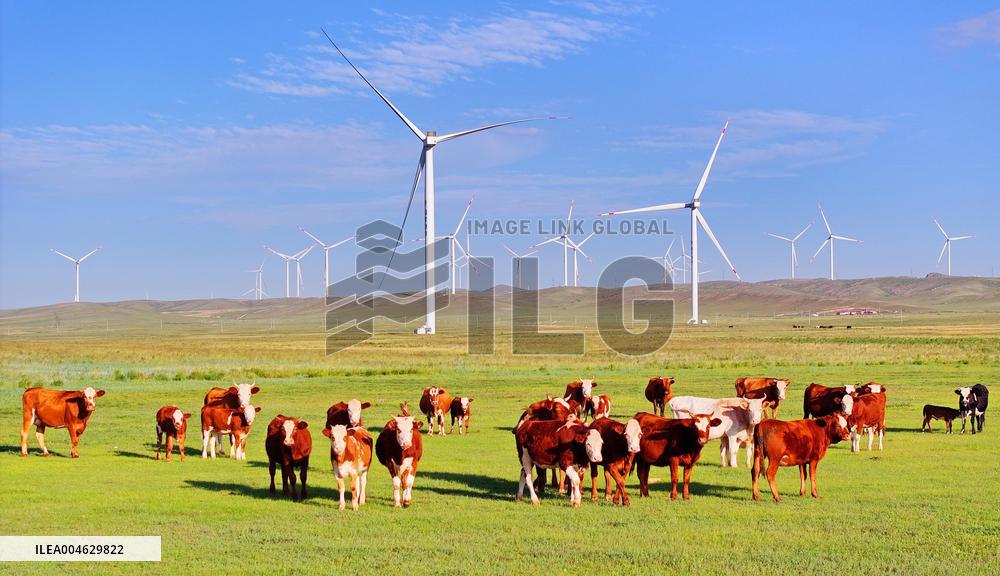 State Power Investment Corporation Ulanqab Wind Power Base