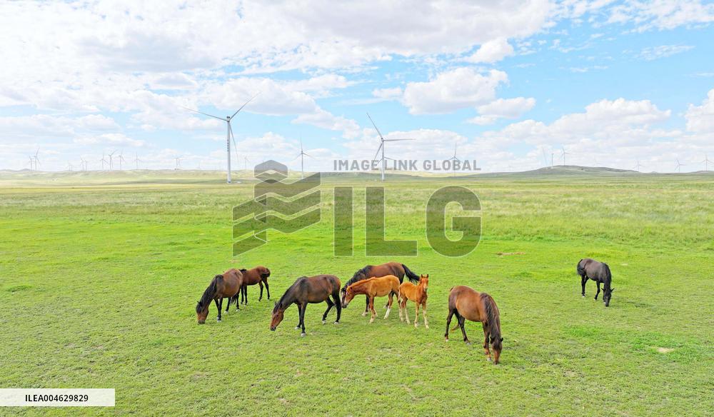 State Power Investment Corporation Ulanqab Wind Power Base