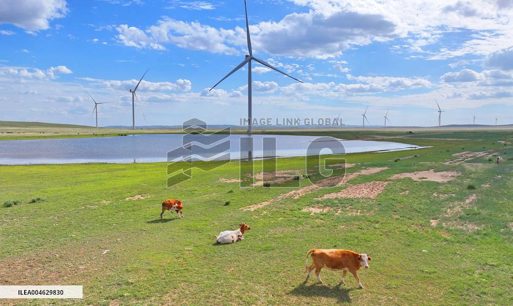 State Power Investment Corporation Ulanqab Wind Power Base