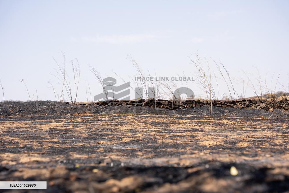 Fires in Toledo Has Already Burned 3 000 Hectares - Spain