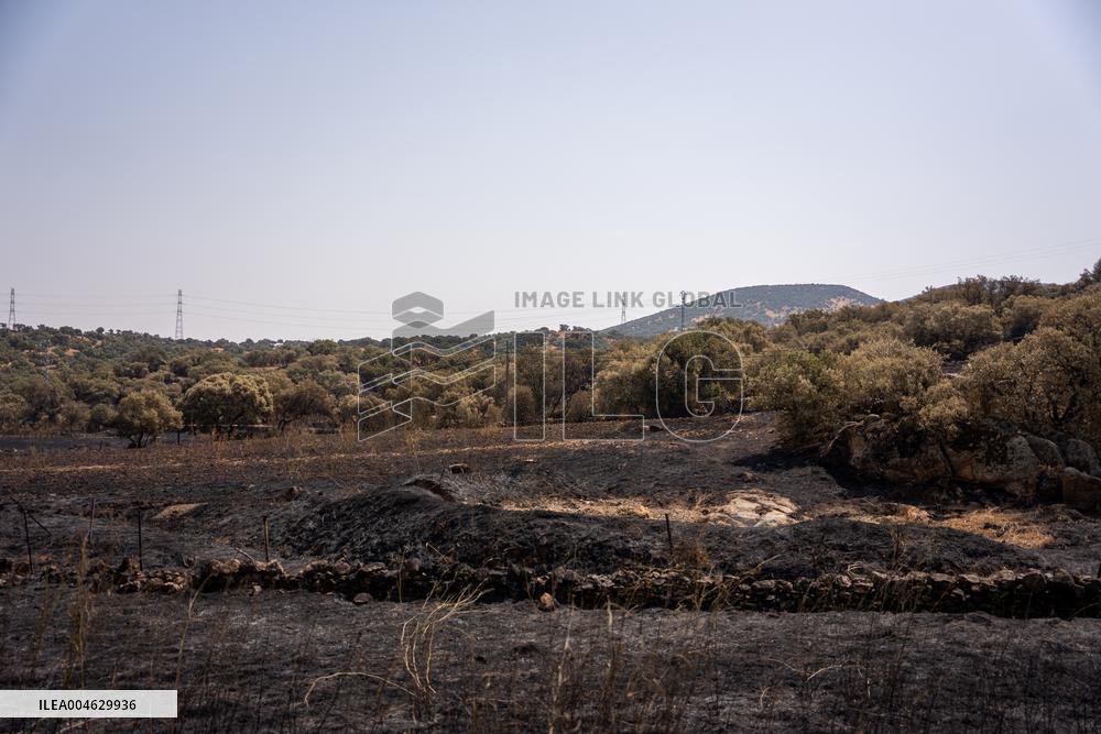 Fires in Toledo Has Already Burned 3 000 Hectares - Spain