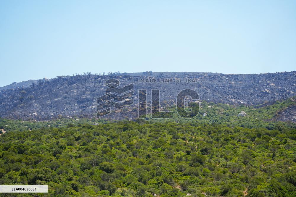 1,700 Leon Residents Evacuated Due to Zamora Fire - Spain