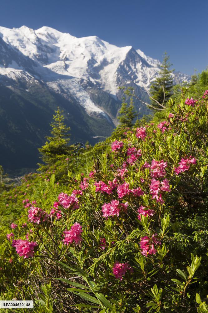 Chamonix