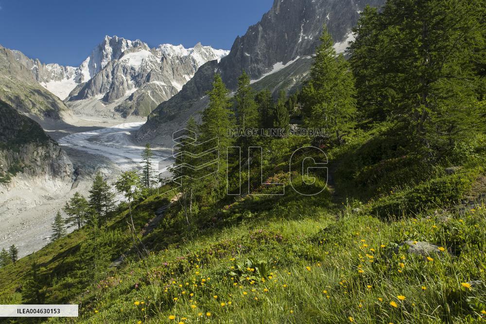 Chamonix
