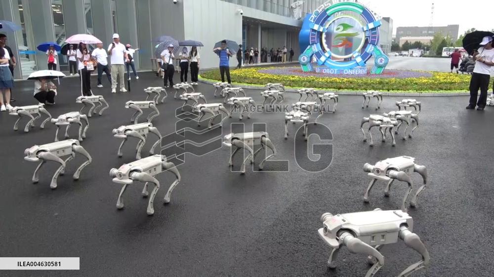 Robot conference in Beijing