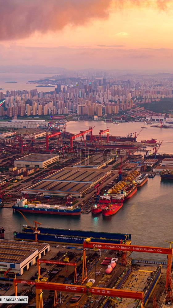 Shipbuilding and Offshore Engineering Equipment Industrial Base