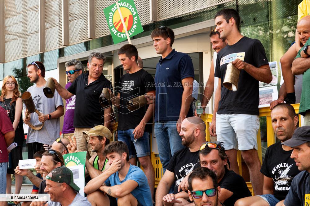 Farmers Mobilize for Wildlife Control and Compensation - Spain