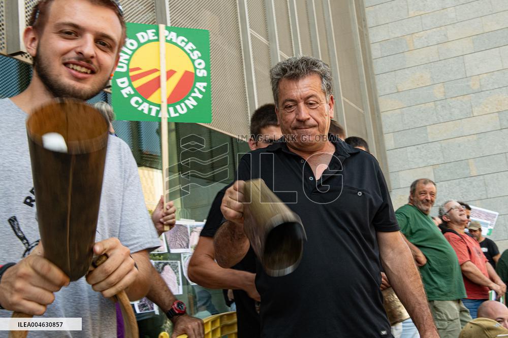 Farmers Mobilize for Wildlife Control and Compensation - Spain