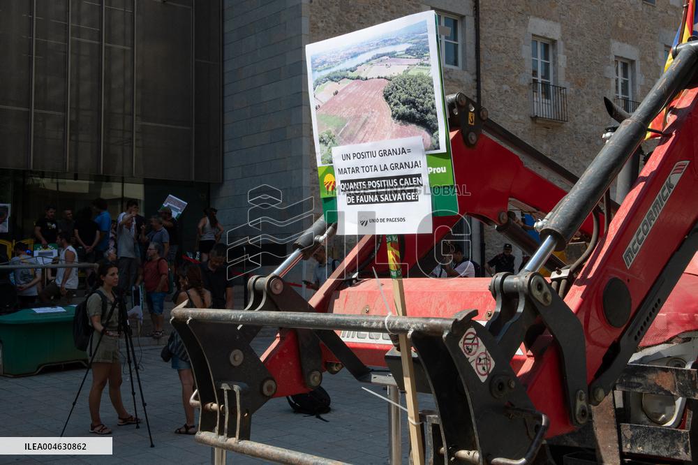 Farmers Mobilize for Wildlife Control and Compensation - Spain