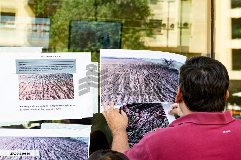 Farmers Mobilize for Wildlife Control and Compensation - Spain
