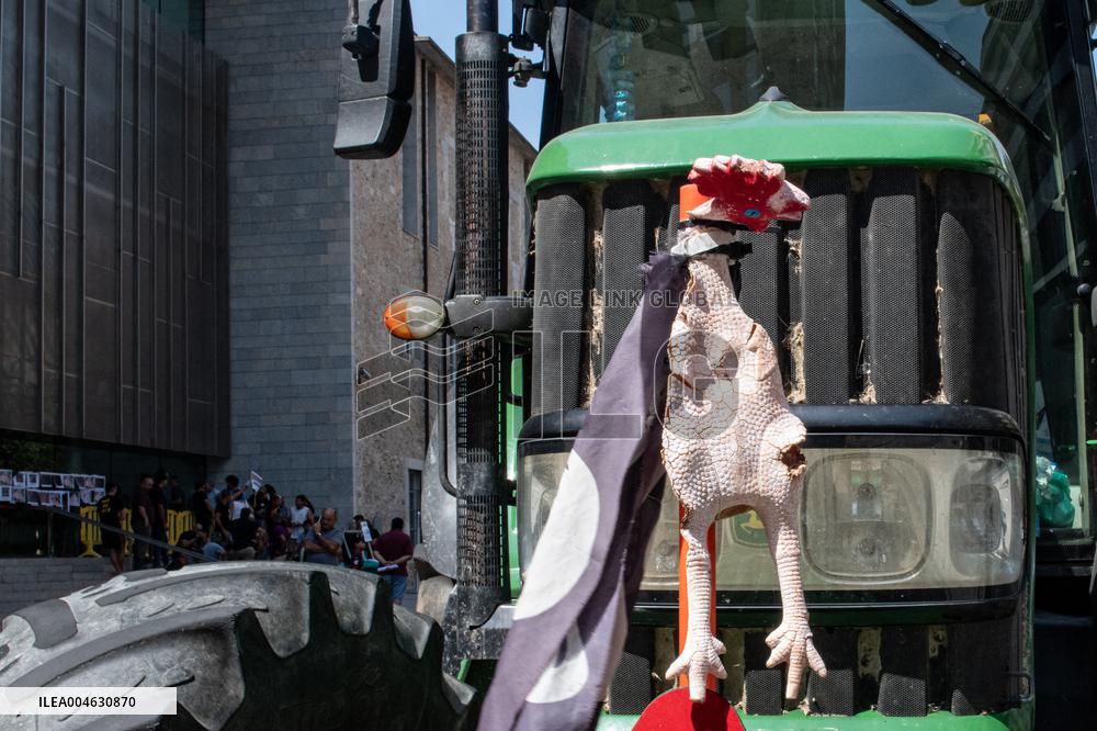 Farmers Mobilize for Wildlife Control and Compensation - Spain