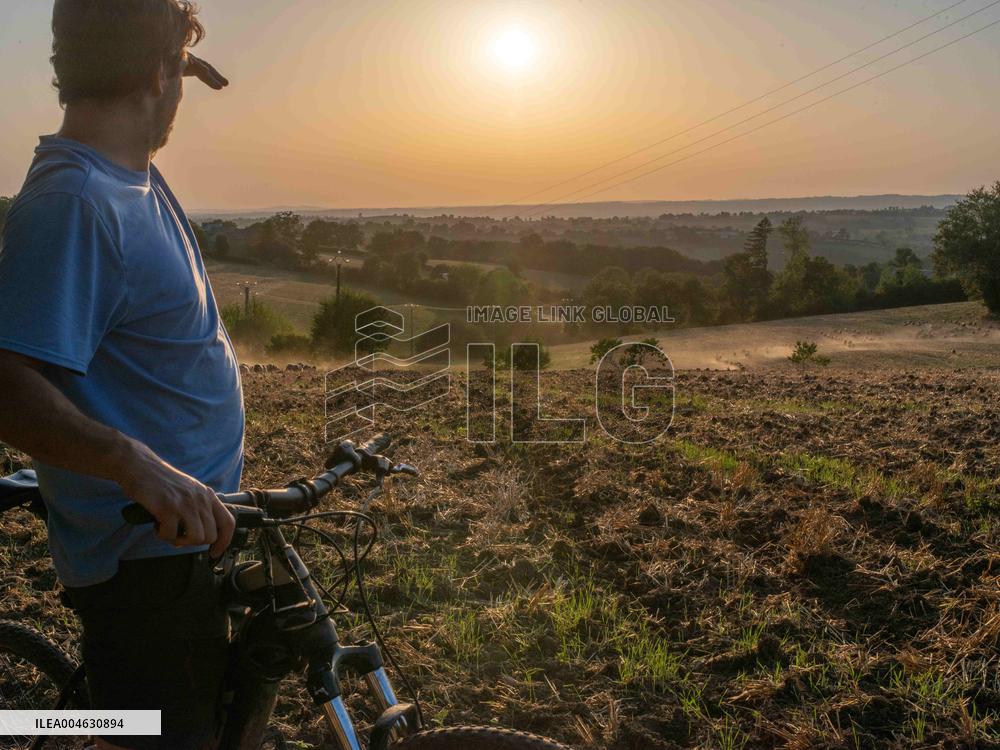 Sheep Farming Evening Pasture Due to High Temperatures in Arvieu - France