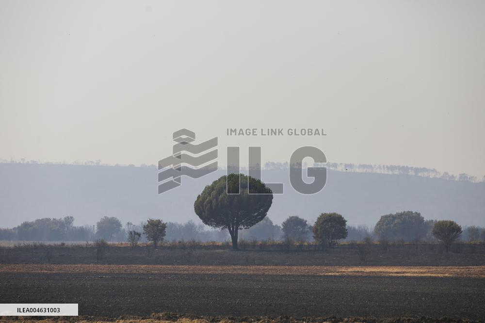 One Dead and More than 5,000 People Evacuated as Fires Ravage Leon - Spain