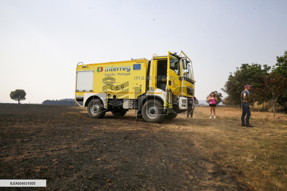 One Dead and More than 5,000 People Evacuated as Fires Ravage Leon - Spain