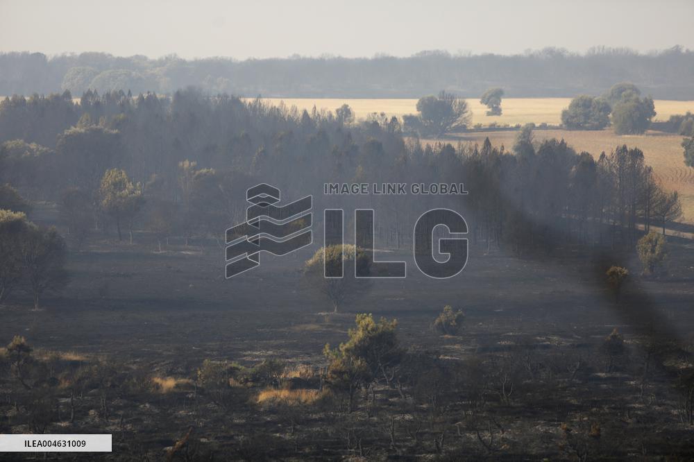 One Dead and More than 5,000 People Evacuated as Fires Ravage Leon - Spain