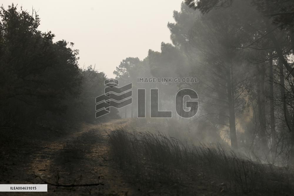 One Dead and More than 5,000 People Evacuated as Fires Ravage Leon - Spain