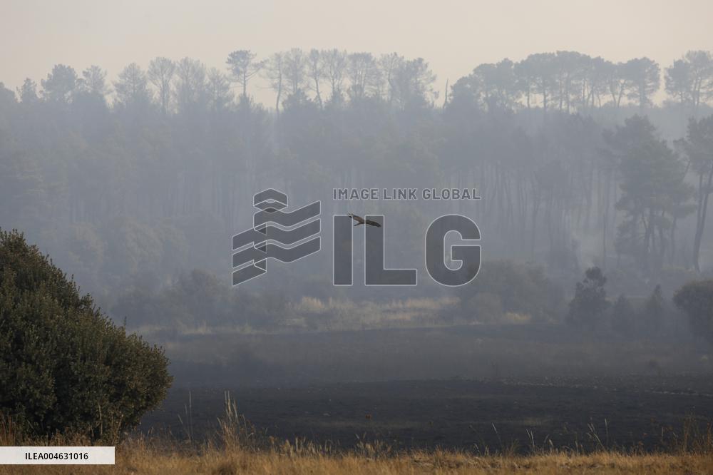 One Dead and More than 5,000 People Evacuated as Fires Ravage Leon - Spain