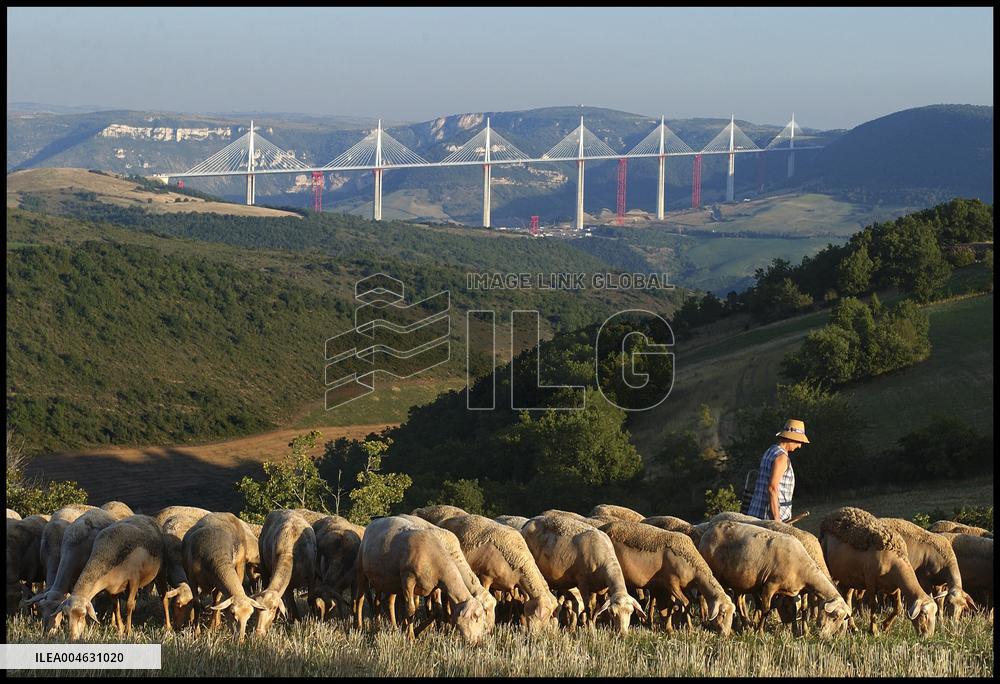 Illustration - Millau