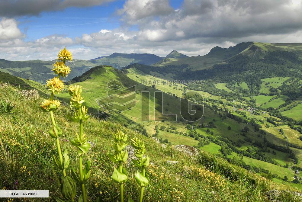 Illustration - Puy-de-Dome