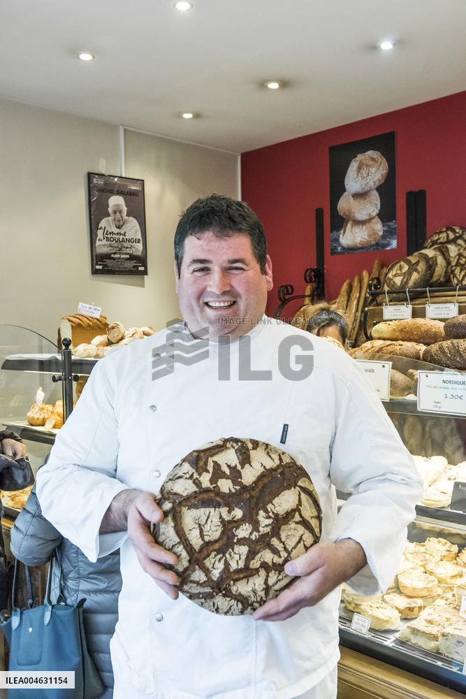 Illustration - Puy-de-Dome