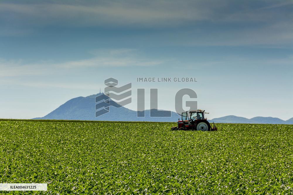 Illustration - Puy-de-Dome