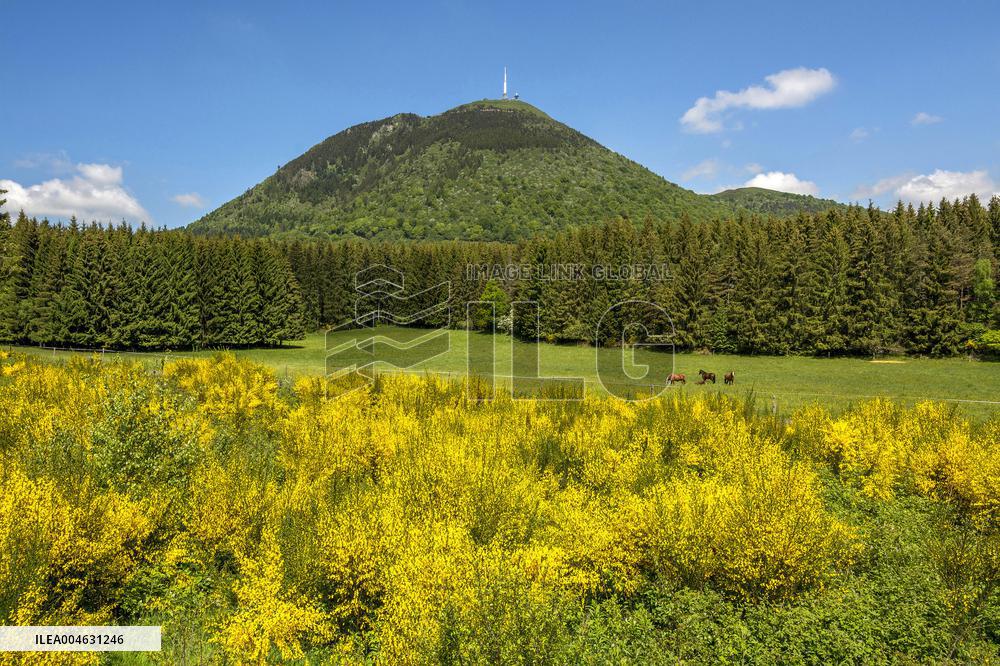 Illustration - Puy-de-Dome