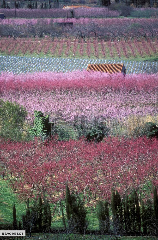 Illustration - Occitanie